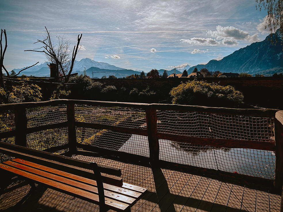 Uitzicht vanaf het terras van het kindvriendelijke hotel in Oostenrijk