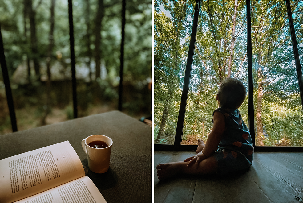 Boek met koffie en uitzicht in Nutchel Cosy Cabins