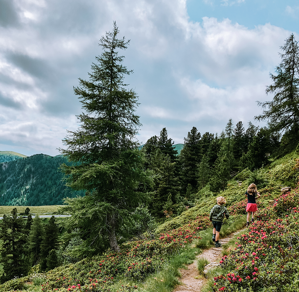 Wandelen in de omgeving van de alpenweg Nockalmstrasse