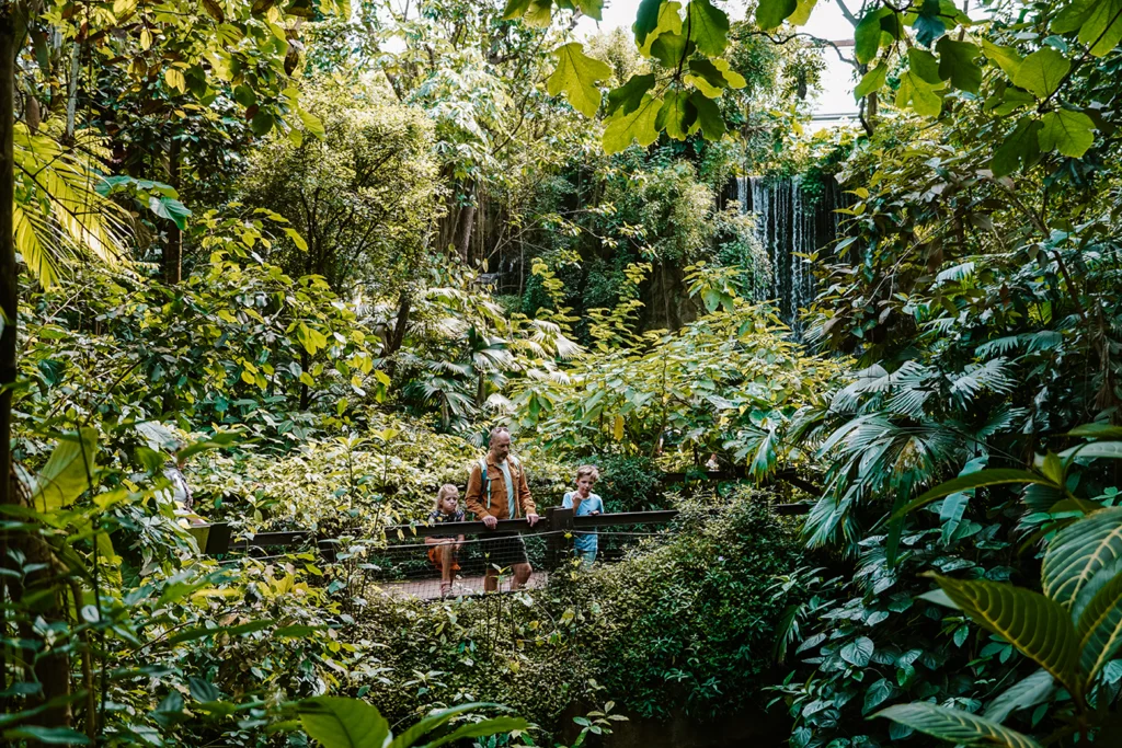 5x Regio Arnhem met het gezin – Stad omringd door groen