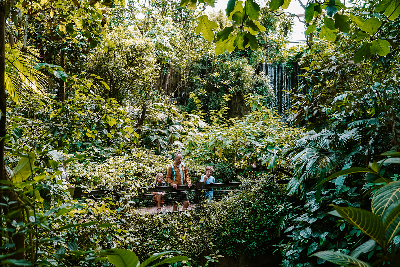 Burgers'Zoo in regio Arnhem - Bush