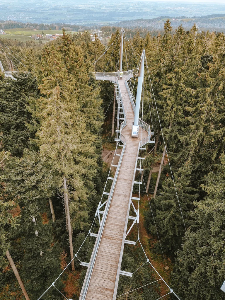 Boomkroonpad Skywalk Allgäu Naturerlebnispark