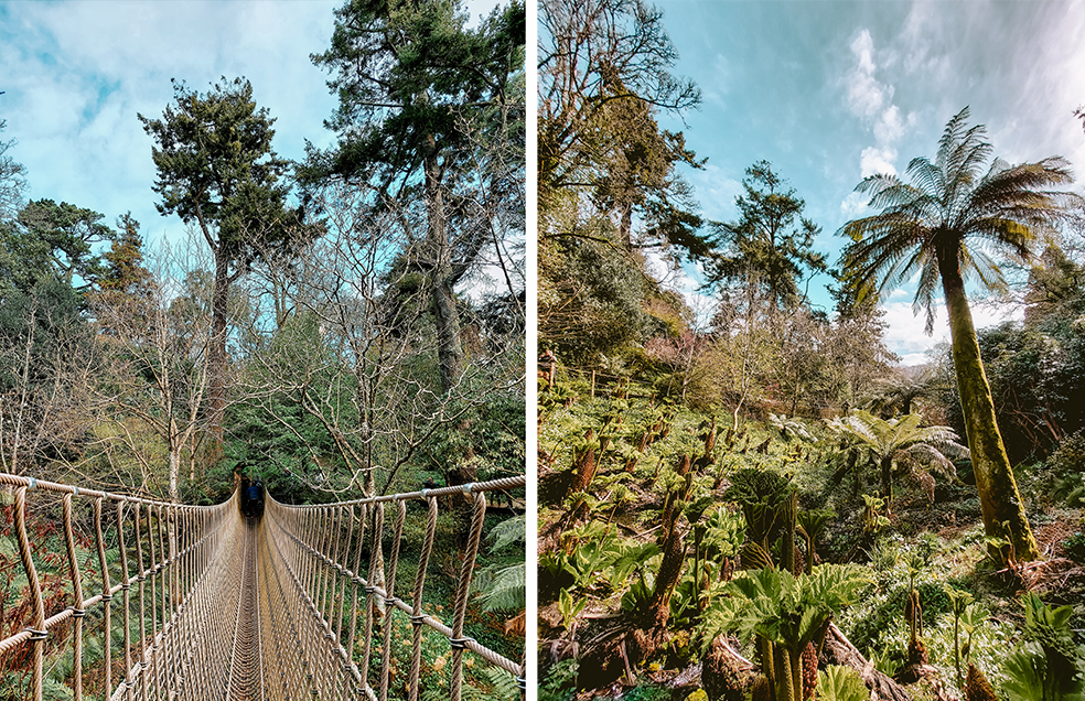 De tropische tuinen van Heligan in Engeland