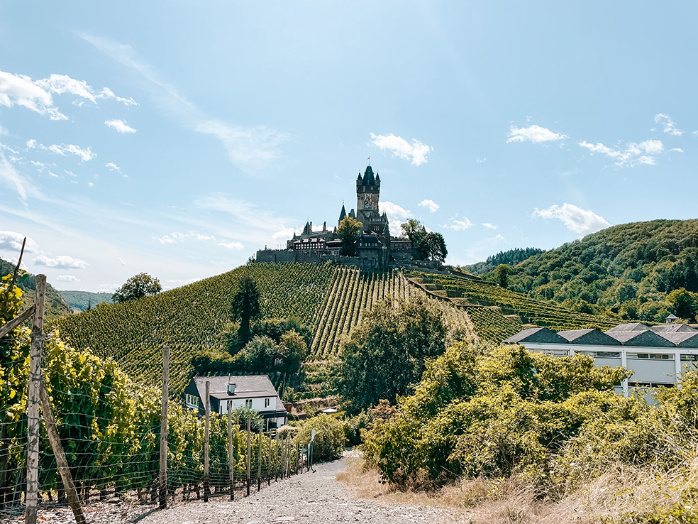 Het kasteel van Cochem omringd door wijnvelden