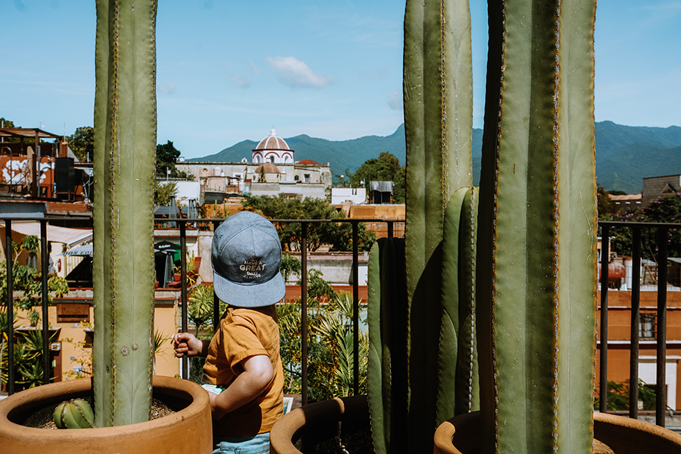 Uitzicht vanaf dakterras in Oaxaca