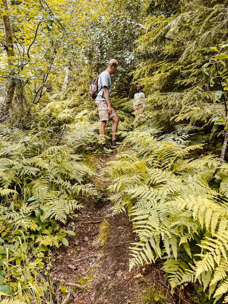 Gezin wandelt vanaf Vrådal naar de berg Venelifjell