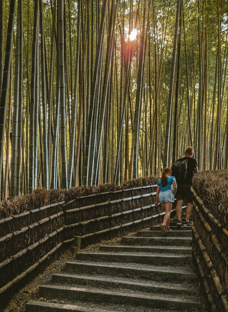Het kleine bamboebos van Adashino Nenbutsu-ji Temple