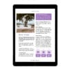 E-book: Op avontuur in Thailand