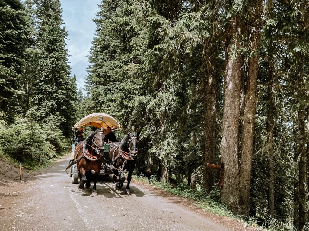 Vanuit Katschberg kun je de paardentram nemen. Een leuk uitje met kinderen in de regio Katschberg