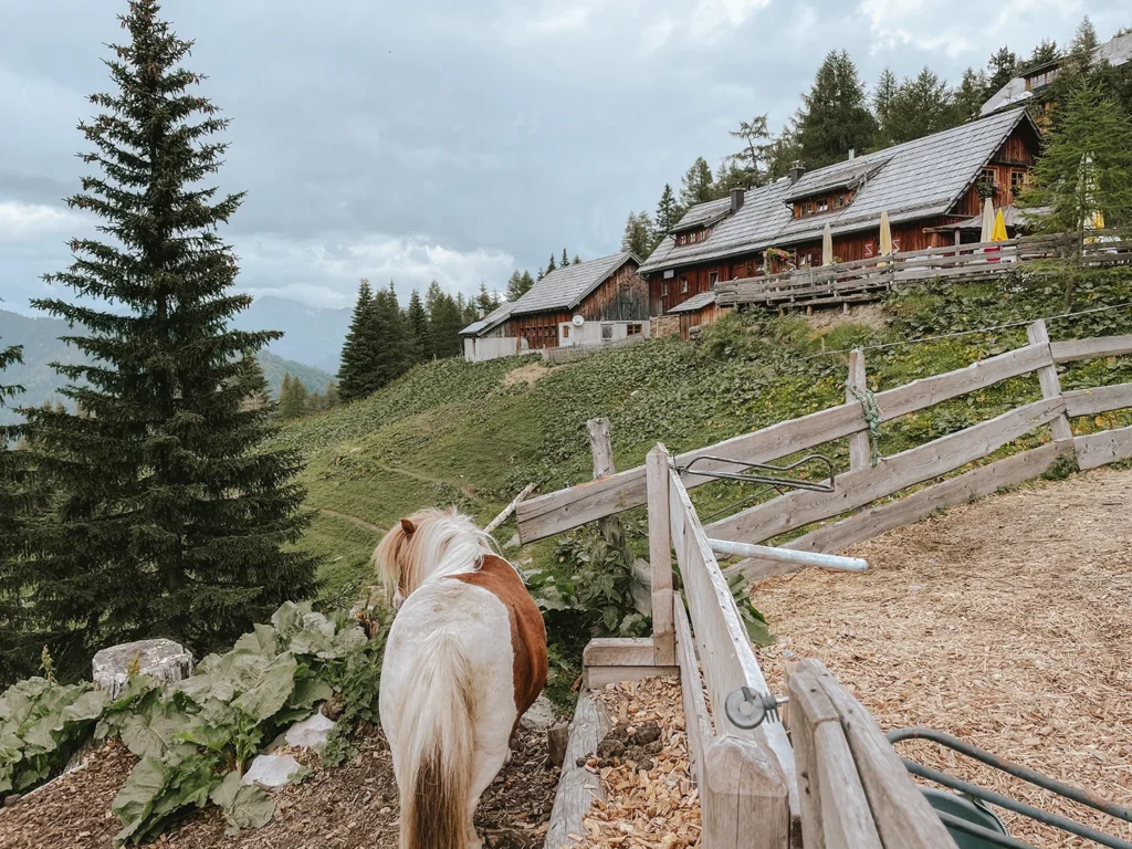 De Ponyalm in Katschberg