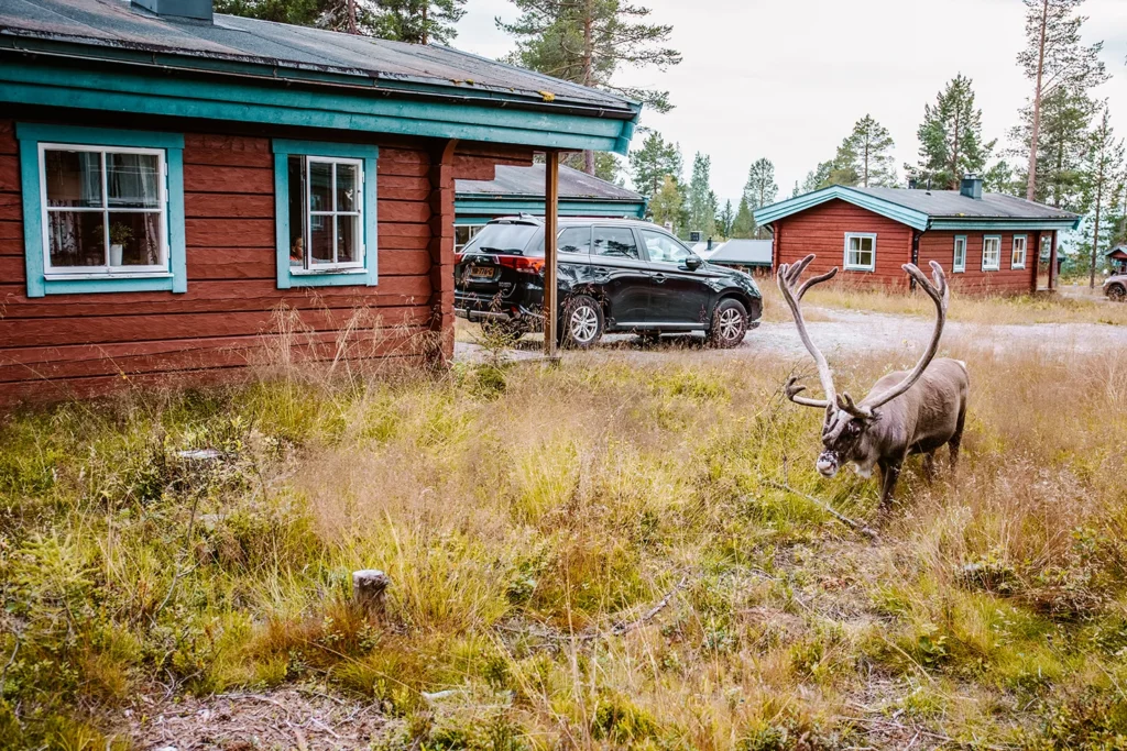 Vakantiehuisjes op vakantiepark Idre Fjäll