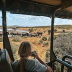 Zuid-Afrika met kinderen - Onze complete gids