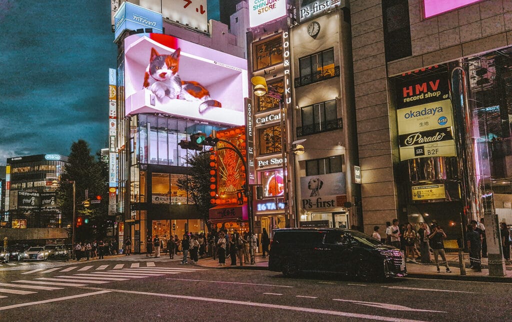 De 3D-kat in de wijk Shinjuku, Tokio