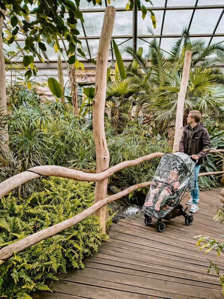 Dvůr Králové Zoo - Reuzengebergte met kinderen