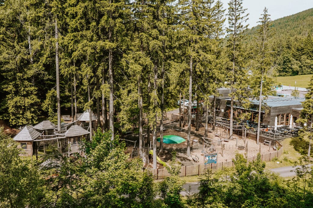 De Timber Trail is een leuk kindvriendelijke uitje in het Tsjechische Reuzengebergte